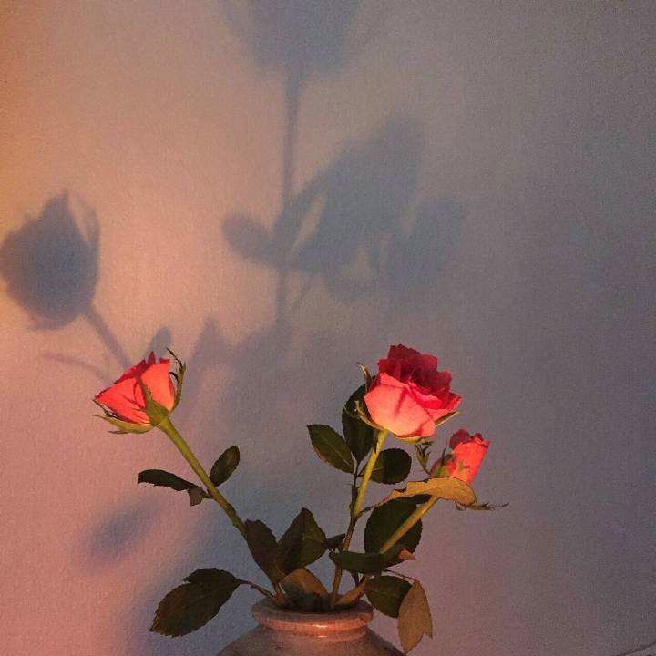 離婚冷靜期能不能提前結束?